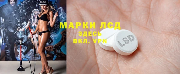 хмурый Белокуриха