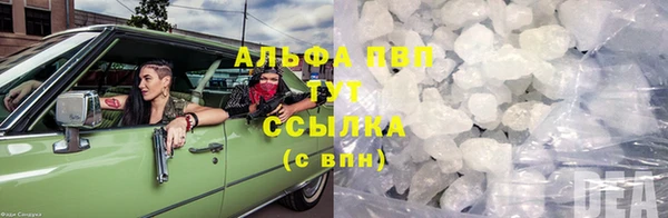 хмурый Белокуриха