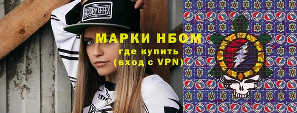 хмурый Белокуриха
