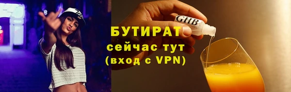 хмурый Белокуриха