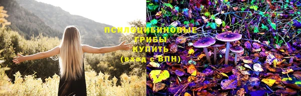 хмурый Белокуриха