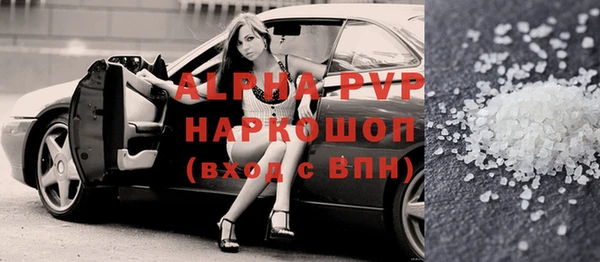 хмурый Белокуриха