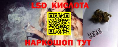 гидра Берёзовский