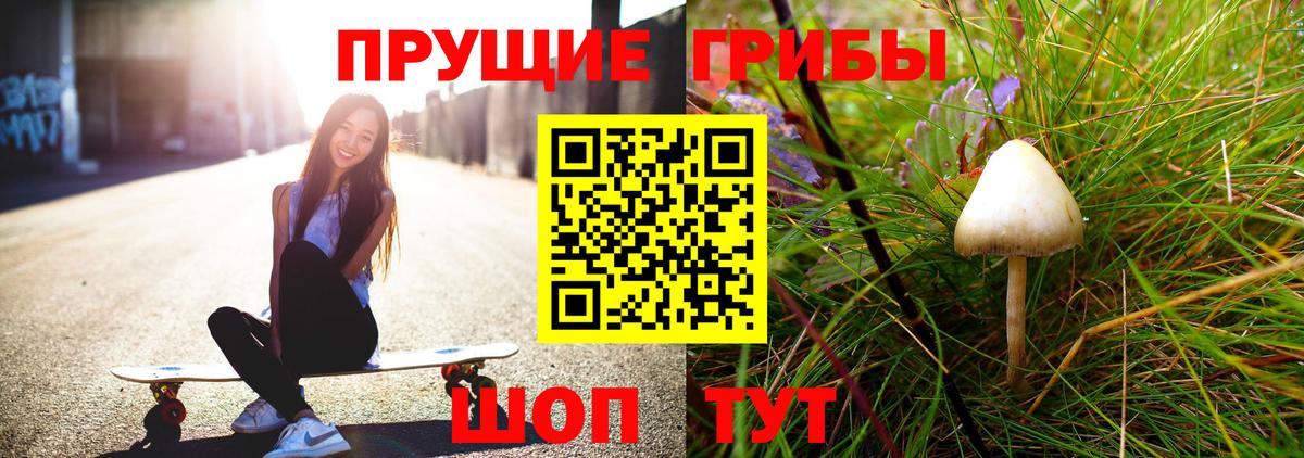 Псилоцибиновые грибы GOLDEN TEACHER  Воскресенск  Псилоцибиновые грибы ЛСД 