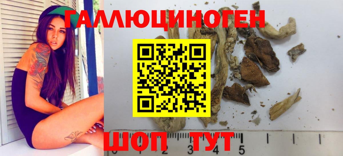 Воскресенск  купить   Псилоцибиновые грибы мухоморы  Вход с VPN  Галлюциногенные грибы GOLDEN TEACHER 