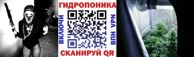 Бошки Шишки план Воскресенск